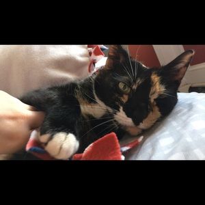 Meet your Posher, Grace